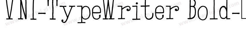 VNI-TypeWriter Bold字体转换